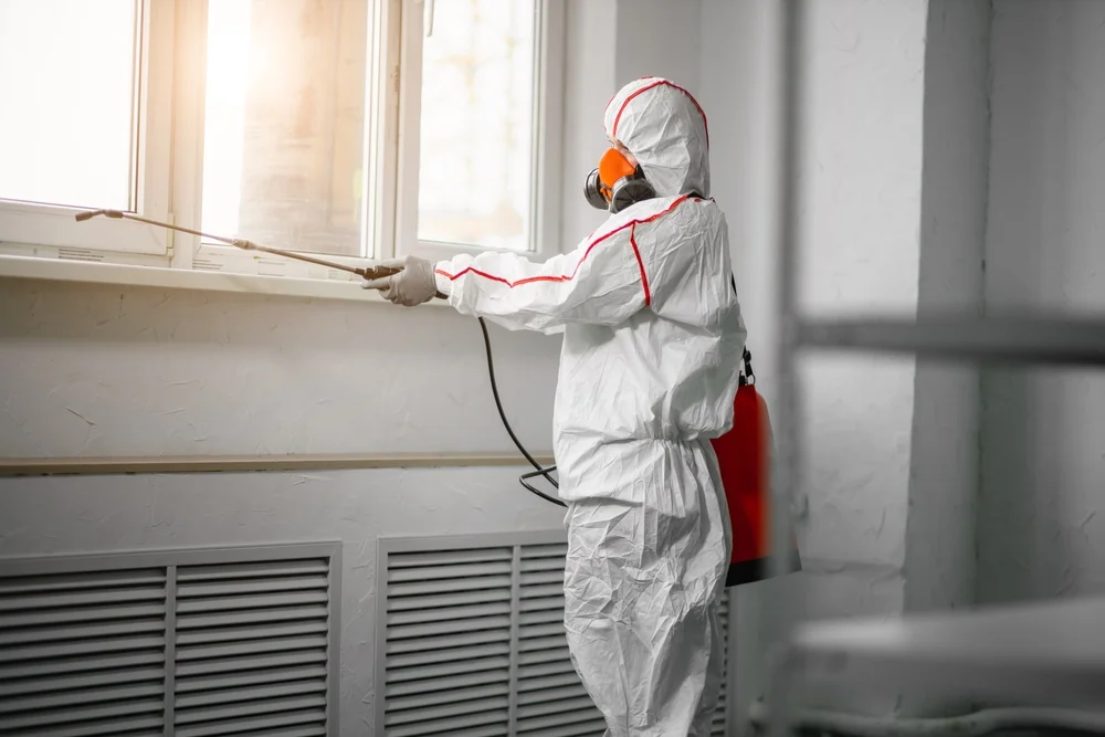 Professional mold remediation services in Sharon, WI